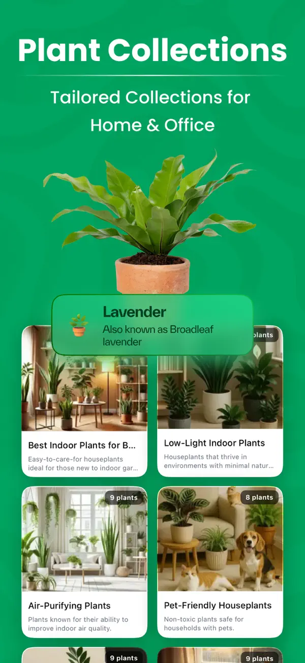 PlantPeek App Screenshot 5